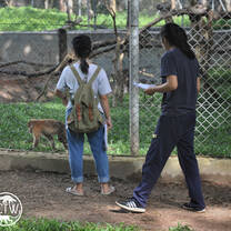 University of Laos Students Studying Macaque Behaviour