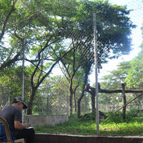 University of Laos Students Studying Macaque Behaviour