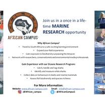 Oceans Research Brochure