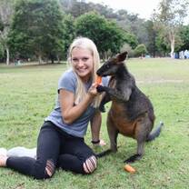 Hey little wallaby, want to be my friend?