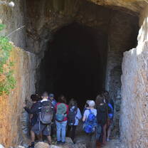 Exploring the Mines