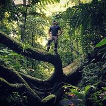 King of the jungle