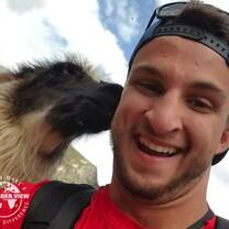 Llama love