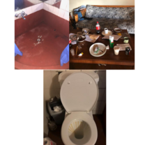 Photos from The Great Projects "cottage"