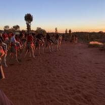 Camel Riding near Uluru
