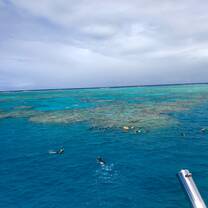 Snorkelers near the Great Barrier Reef