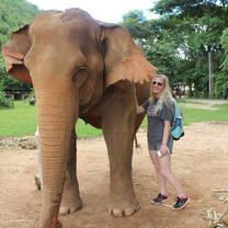 Elephant Nature Park