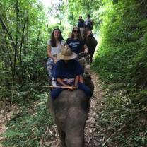 Our elephant rides!