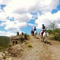 Trail riding 