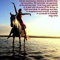 Horses teach us about ourselves 