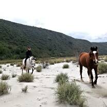 Bareback riding to improve your balance 