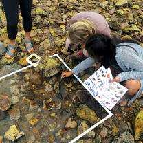 Coastal survey.