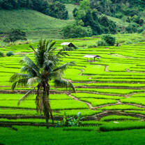 Discover Teaching Opportunities Abroad at GO! Overseas | GO! Teach Abroad