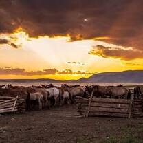 Mongolia