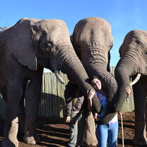 AIFS South Africa