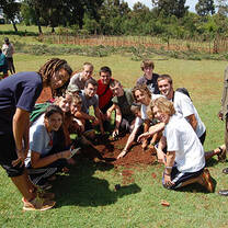 group Planting Trees