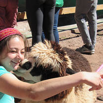 Llama Kiss