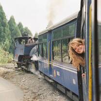 Take the toy train on your gap year in India
