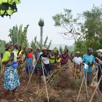 Volunteers plant trees with local people
