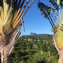 Ravenala palms framing a mountain