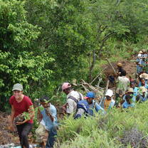 Reforestation at KAFS