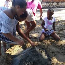 Volunteers on the beach