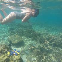 Exploring the seascapes