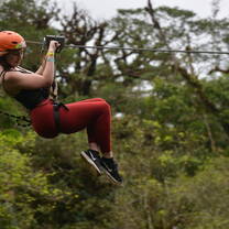 Ziplining through the rainforest
