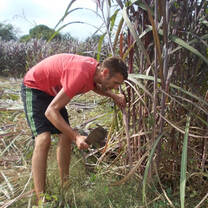 working on the field