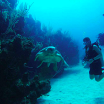 Marine Conservation Training 