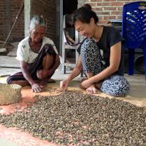 Sustainable Farming