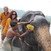 Volunteer with Elephants in Sri Lanka