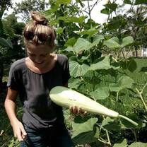 Volunteer at the permaculture garden