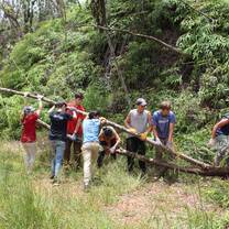 Clearing debris at a reforestation project in Puerto Rico.