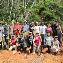 Stellar work by volunteers supporting reforestation efforts.