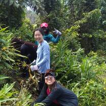 Planting tress at Tropic Ventures.