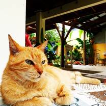 Relaxing atmosphere