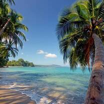 Costa Rica's Stunning Beaches