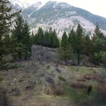 Bull Mountain and Animal friends at Clear Sky Retreat Center