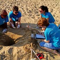 Sea turtle nest inventory 
