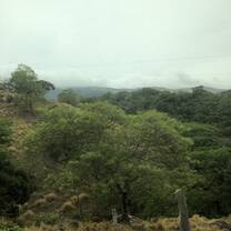 The views 