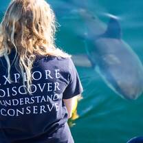 Research Trips