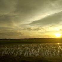 Assam 