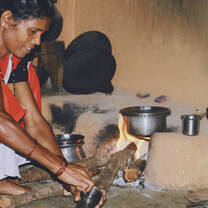 Explore the life of rural Goa