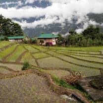 Terrace Farming at Patuk Village
