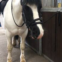 Ben before a ride