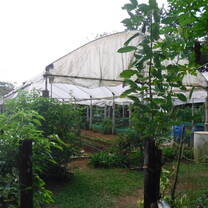 A farm