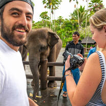 bali elephants