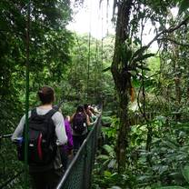 SFS Costa Rica - students in the field
