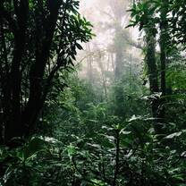 SFS Costa Rica Summer II